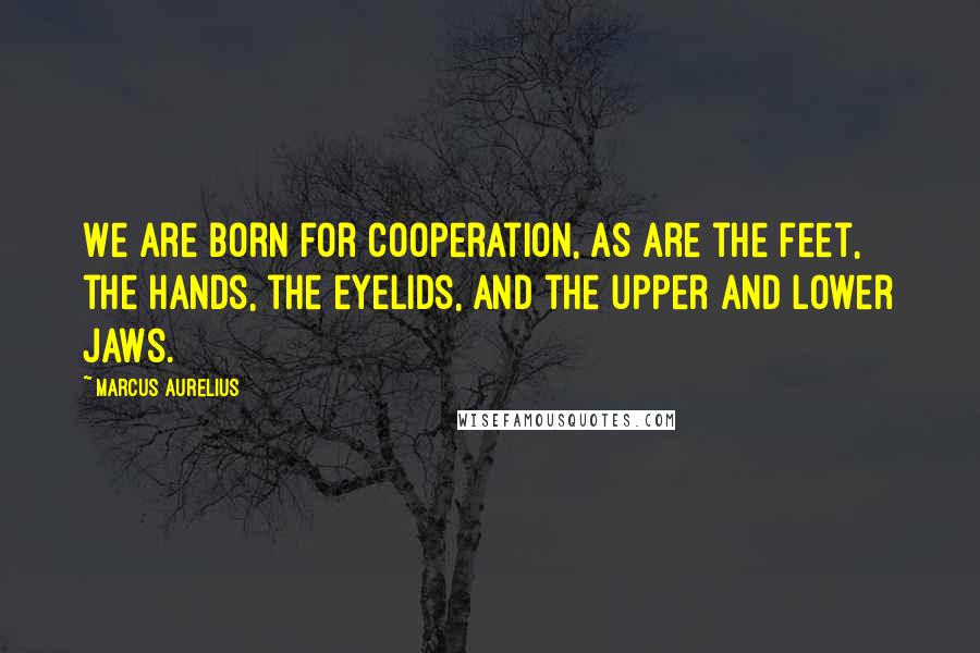 Marcus Aurelius Quotes: We are born for cooperation, as are the feet, the hands, the eyelids, and the upper and lower jaws.