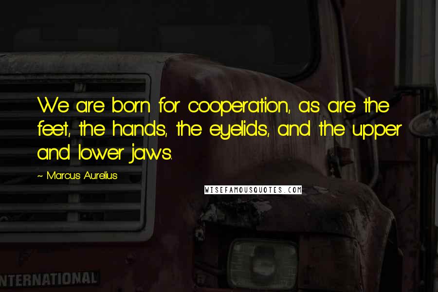 Marcus Aurelius Quotes: We are born for cooperation, as are the feet, the hands, the eyelids, and the upper and lower jaws.