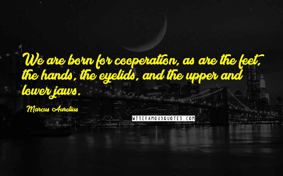 Marcus Aurelius Quotes: We are born for cooperation, as are the feet, the hands, the eyelids, and the upper and lower jaws.