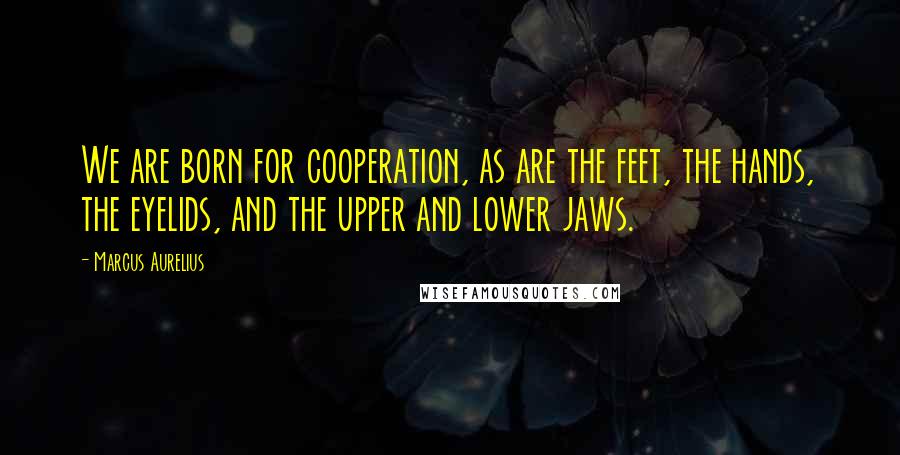 Marcus Aurelius Quotes: We are born for cooperation, as are the feet, the hands, the eyelids, and the upper and lower jaws.