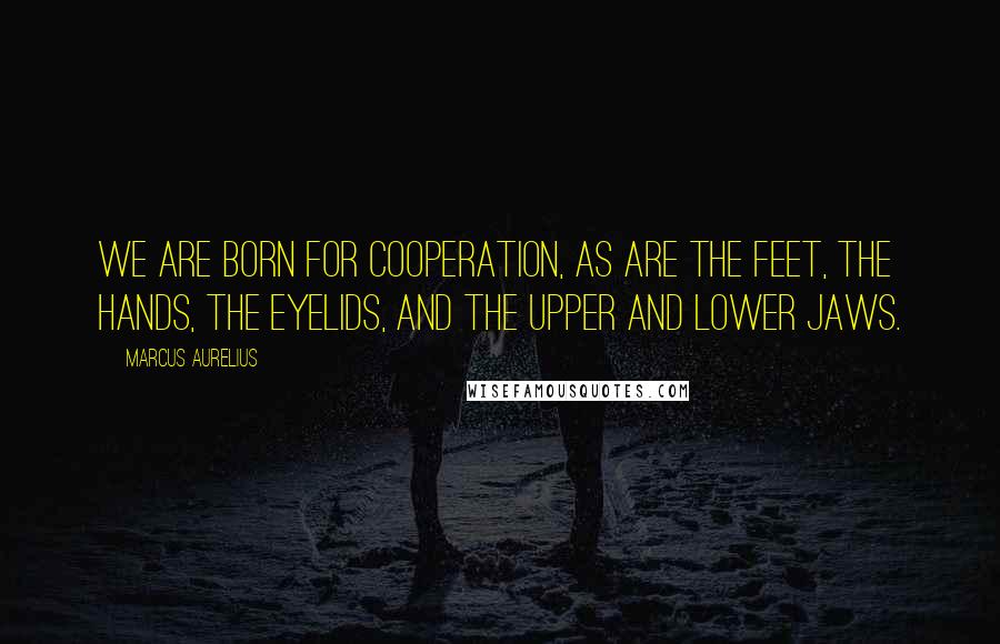 Marcus Aurelius Quotes: We are born for cooperation, as are the feet, the hands, the eyelids, and the upper and lower jaws.