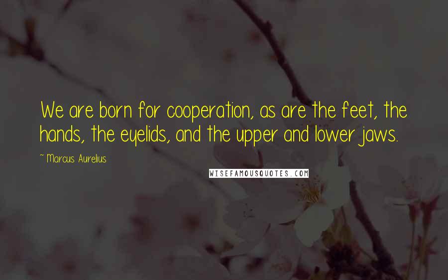 Marcus Aurelius Quotes: We are born for cooperation, as are the feet, the hands, the eyelids, and the upper and lower jaws.