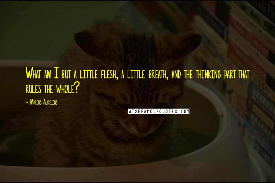 Marcus Aurelius Quotes: What am I but a little flesh, a little breath, and the thinking part that rules the whole?