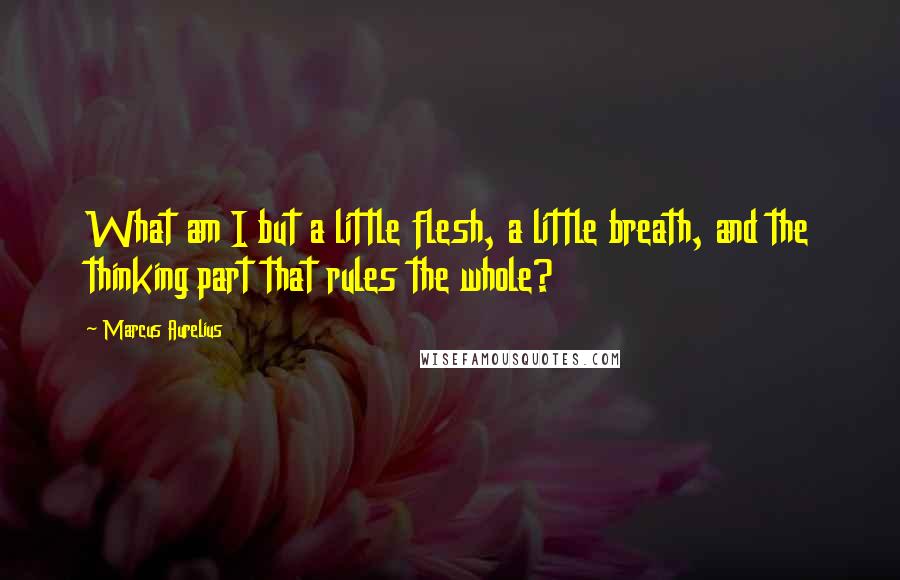 Marcus Aurelius Quotes: What am I but a little flesh, a little breath, and the thinking part that rules the whole?