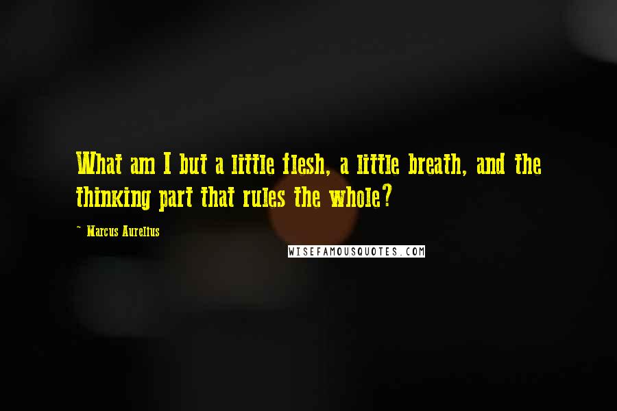 Marcus Aurelius Quotes: What am I but a little flesh, a little breath, and the thinking part that rules the whole?