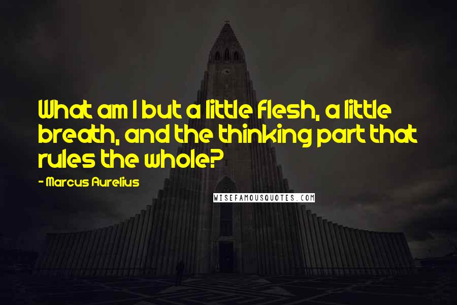 Marcus Aurelius Quotes: What am I but a little flesh, a little breath, and the thinking part that rules the whole?