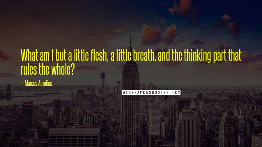 Marcus Aurelius Quotes: What am I but a little flesh, a little breath, and the thinking part that rules the whole?