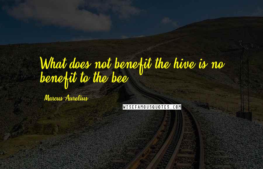 Marcus Aurelius Quotes: What does not benefit the hive is no benefit to the bee.