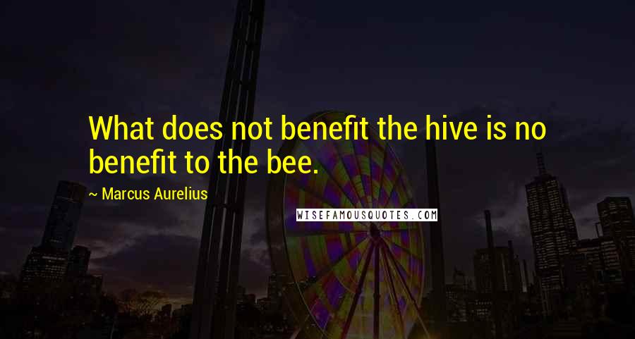 Marcus Aurelius Quotes: What does not benefit the hive is no benefit to the bee.