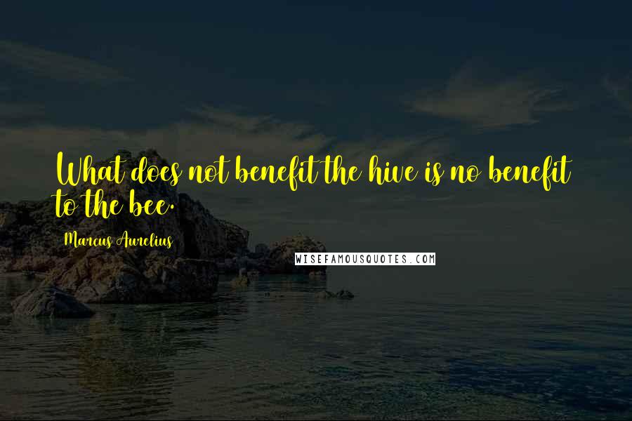 Marcus Aurelius Quotes: What does not benefit the hive is no benefit to the bee.