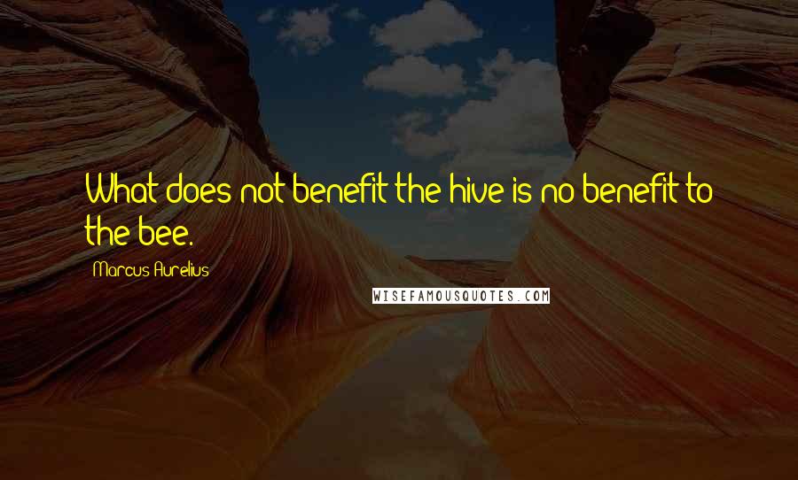 Marcus Aurelius Quotes: What does not benefit the hive is no benefit to the bee.