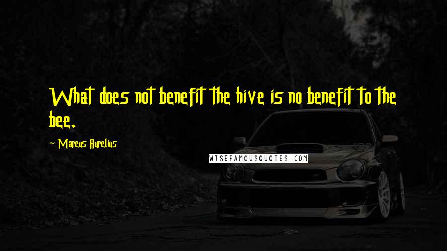 Marcus Aurelius Quotes: What does not benefit the hive is no benefit to the bee.