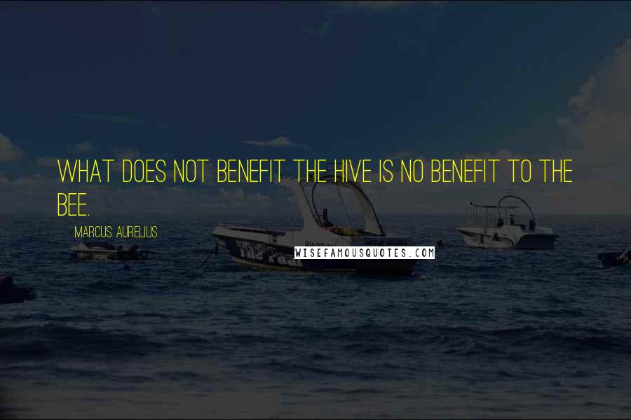 Marcus Aurelius Quotes: What does not benefit the hive is no benefit to the bee.