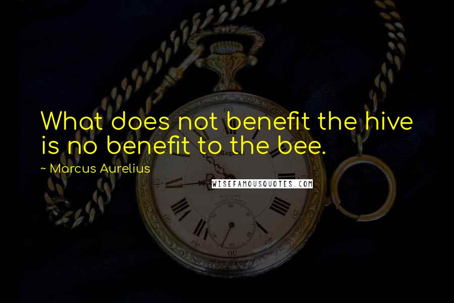 Marcus Aurelius Quotes: What does not benefit the hive is no benefit to the bee.