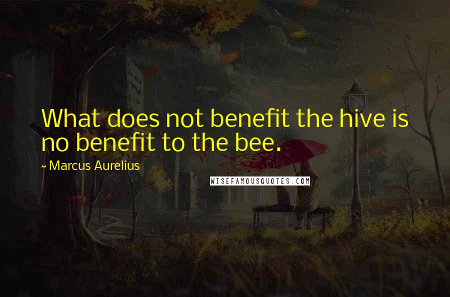 Marcus Aurelius Quotes: What does not benefit the hive is no benefit to the bee.