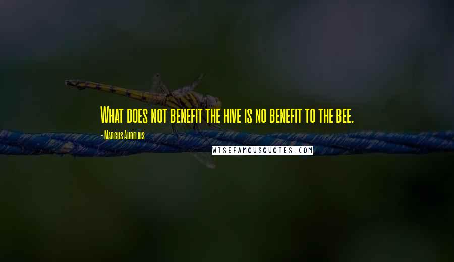 Marcus Aurelius Quotes: What does not benefit the hive is no benefit to the bee.