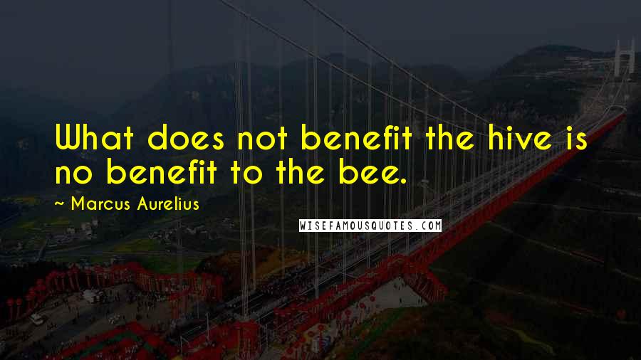 Marcus Aurelius Quotes: What does not benefit the hive is no benefit to the bee.