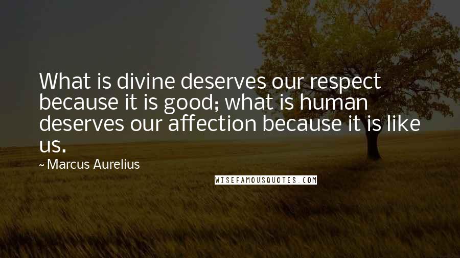 Marcus Aurelius Quotes: What is divine deserves our respect because it is good; what is human deserves our affection because it is like us.