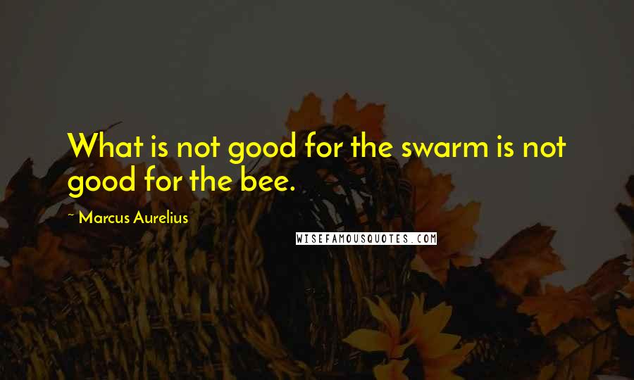 Marcus Aurelius Quotes: What is not good for the swarm is not good for the bee.