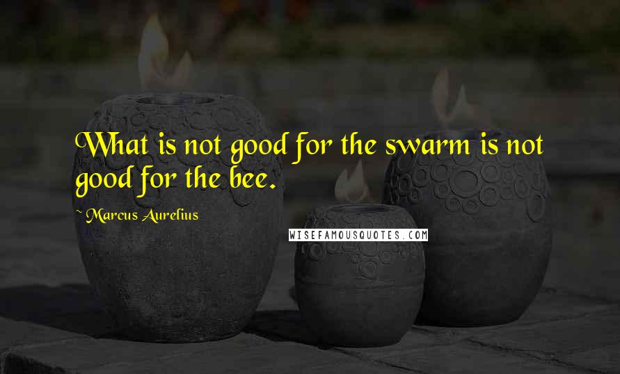 Marcus Aurelius Quotes: What is not good for the swarm is not good for the bee.