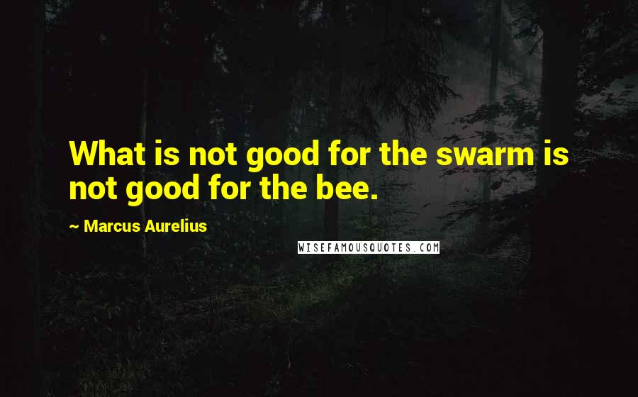 Marcus Aurelius Quotes: What is not good for the swarm is not good for the bee.