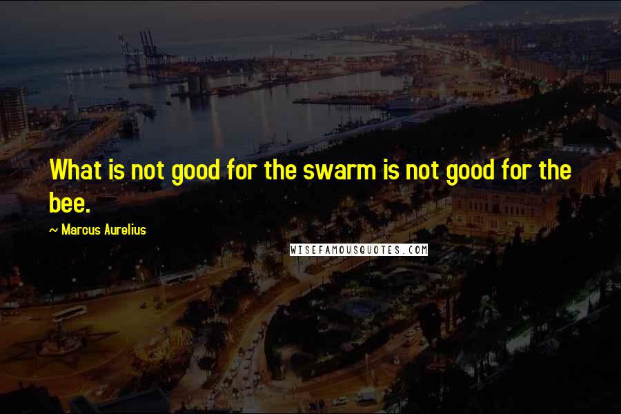 Marcus Aurelius Quotes: What is not good for the swarm is not good for the bee.