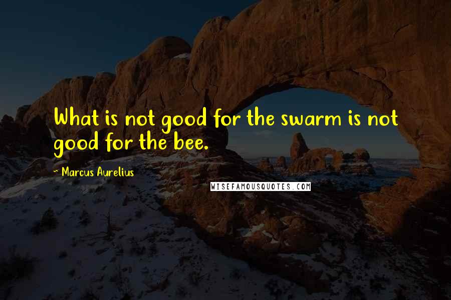 Marcus Aurelius Quotes: What is not good for the swarm is not good for the bee.