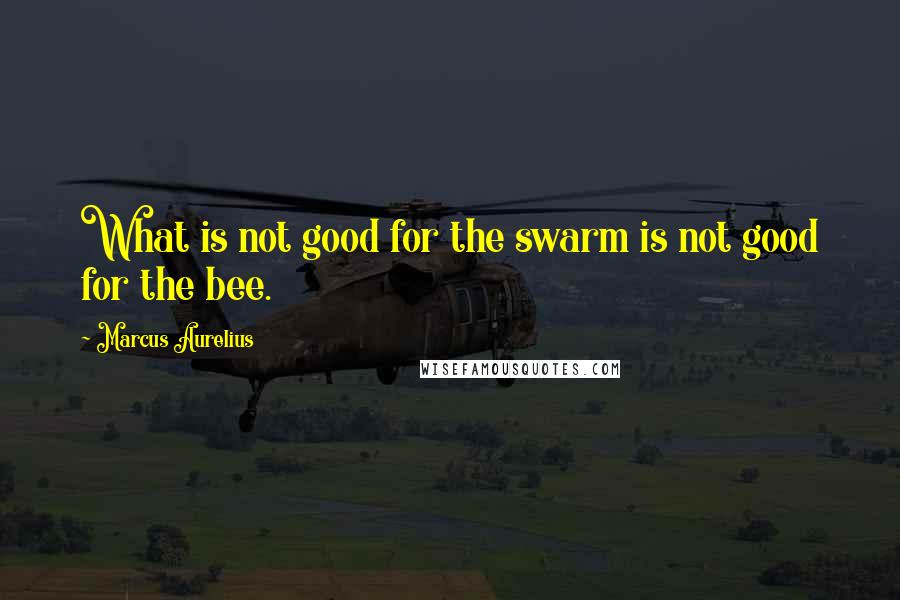 Marcus Aurelius Quotes: What is not good for the swarm is not good for the bee.