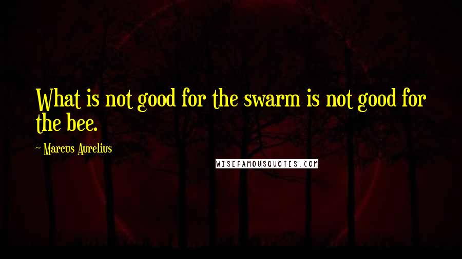 Marcus Aurelius Quotes: What is not good for the swarm is not good for the bee.