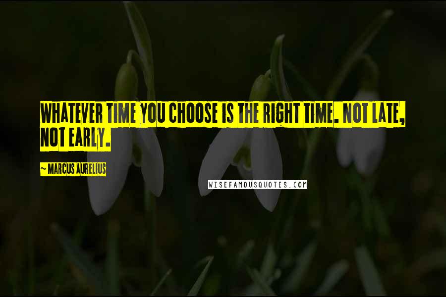 Marcus Aurelius Quotes: Whatever time you choose is the right time. Not late, not early.