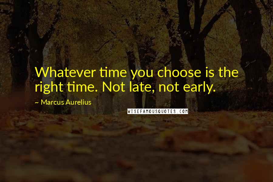 Marcus Aurelius Quotes: Whatever time you choose is the right time. Not late, not early.