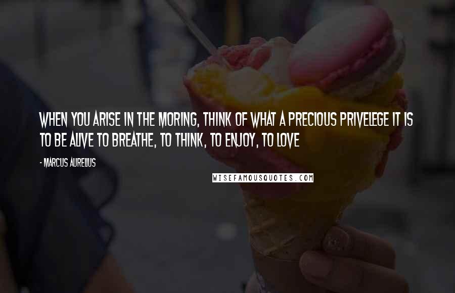 Marcus Aurelius Quotes: When you arise in the moring, think of what a precious privelege it is to be alive to breathe, to think, to enjoy, to love