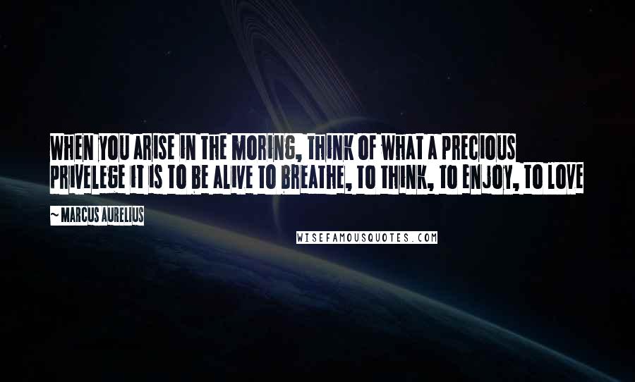 Marcus Aurelius Quotes: When you arise in the moring, think of what a precious privelege it is to be alive to breathe, to think, to enjoy, to love