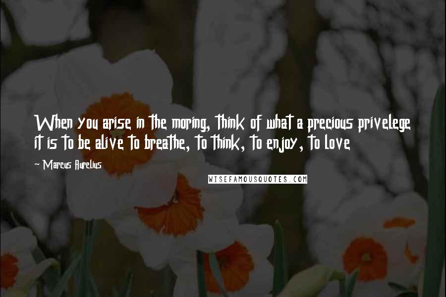 Marcus Aurelius Quotes: When you arise in the moring, think of what a precious privelege it is to be alive to breathe, to think, to enjoy, to love