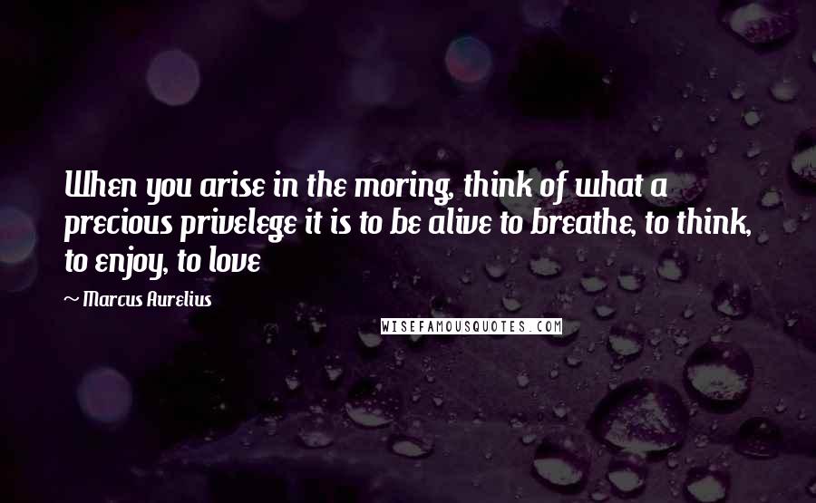 Marcus Aurelius Quotes: When you arise in the moring, think of what a precious privelege it is to be alive to breathe, to think, to enjoy, to love