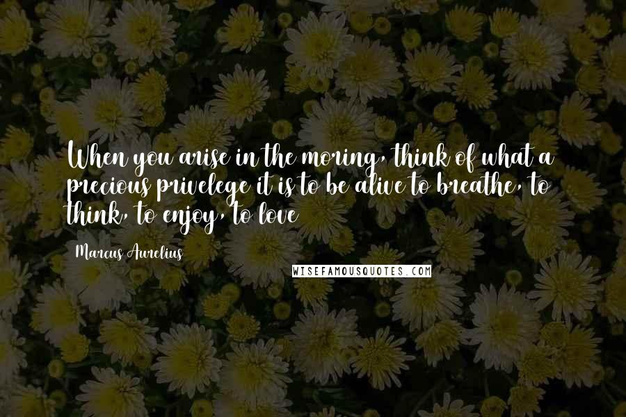 Marcus Aurelius Quotes: When you arise in the moring, think of what a precious privelege it is to be alive to breathe, to think, to enjoy, to love