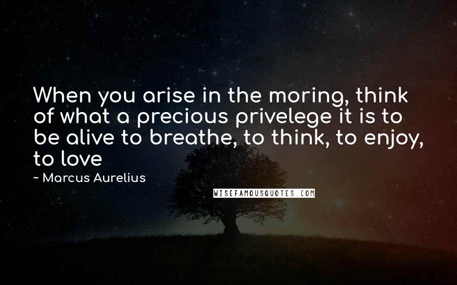Marcus Aurelius Quotes: When you arise in the moring, think of what a precious privelege it is to be alive to breathe, to think, to enjoy, to love