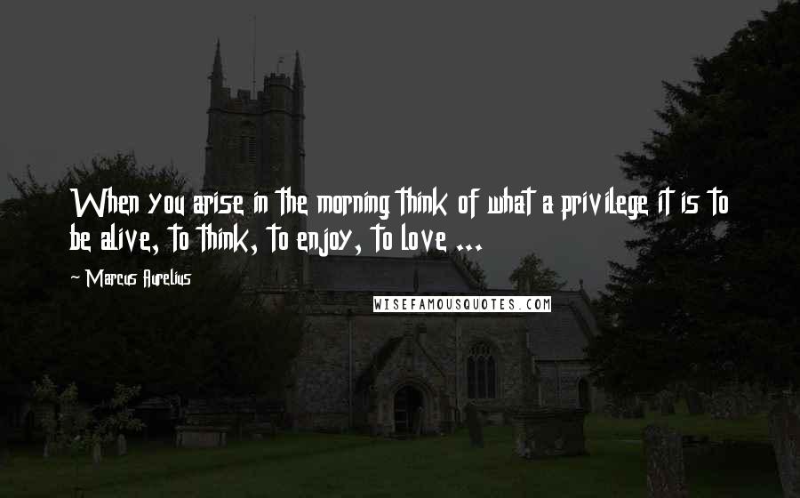 Marcus Aurelius Quotes: When you arise in the morning think of what a privilege it is to be alive, to think, to enjoy, to love ...