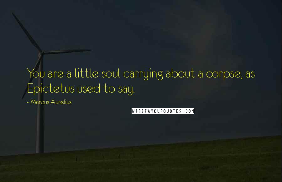 Marcus Aurelius Quotes: You are a little soul carrying about a corpse, as Epictetus used to say.