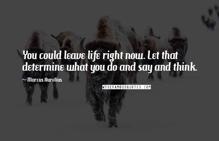 Marcus Aurelius Quotes: You could leave life right now. Let that determine what you do and say and think.