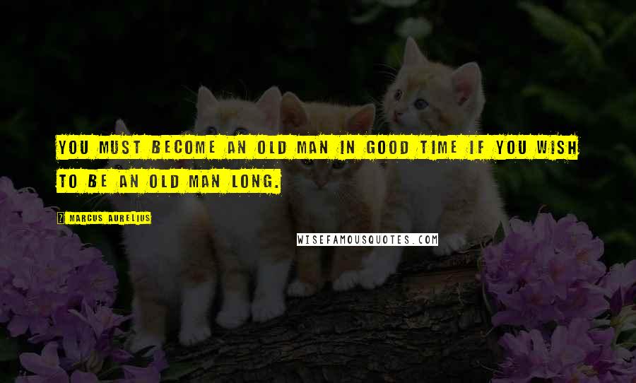 Marcus Aurelius Quotes: You must become an old man in good time if you wish to be an old man long.