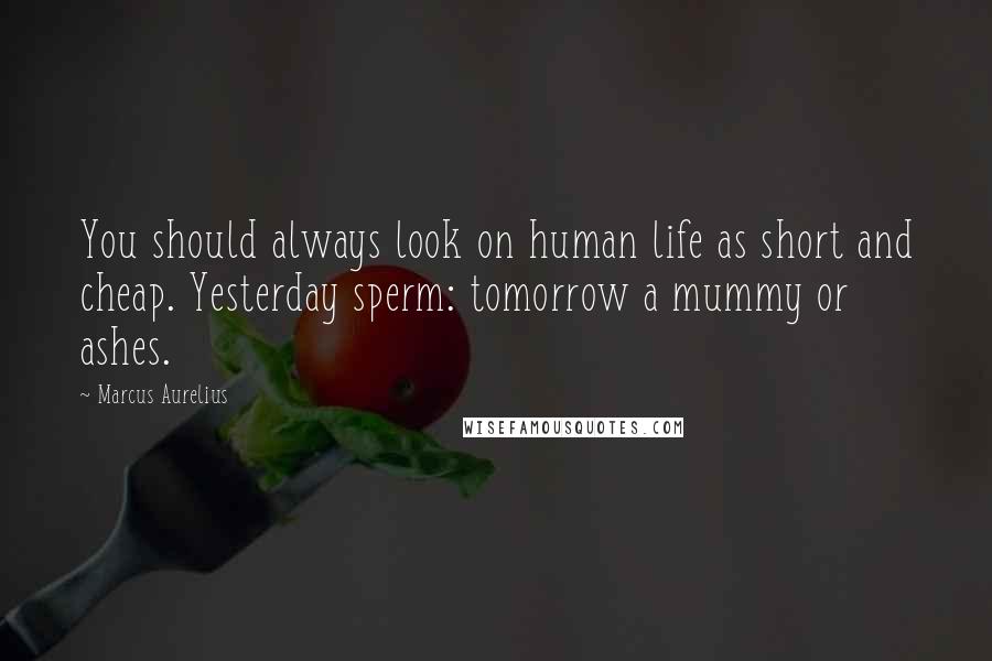 Marcus Aurelius Quotes: You should always look on human life as short and cheap. Yesterday sperm: tomorrow a mummy or ashes.