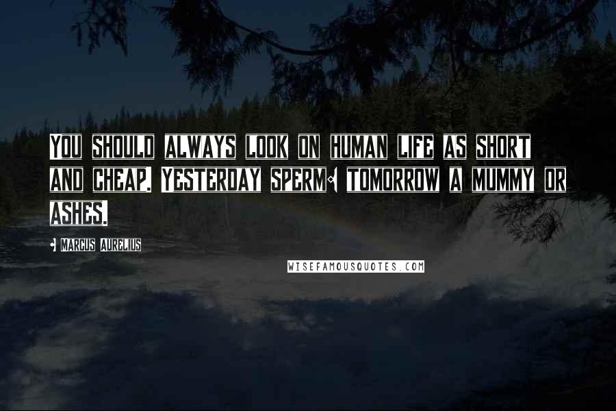 Marcus Aurelius Quotes: You should always look on human life as short and cheap. Yesterday sperm: tomorrow a mummy or ashes.