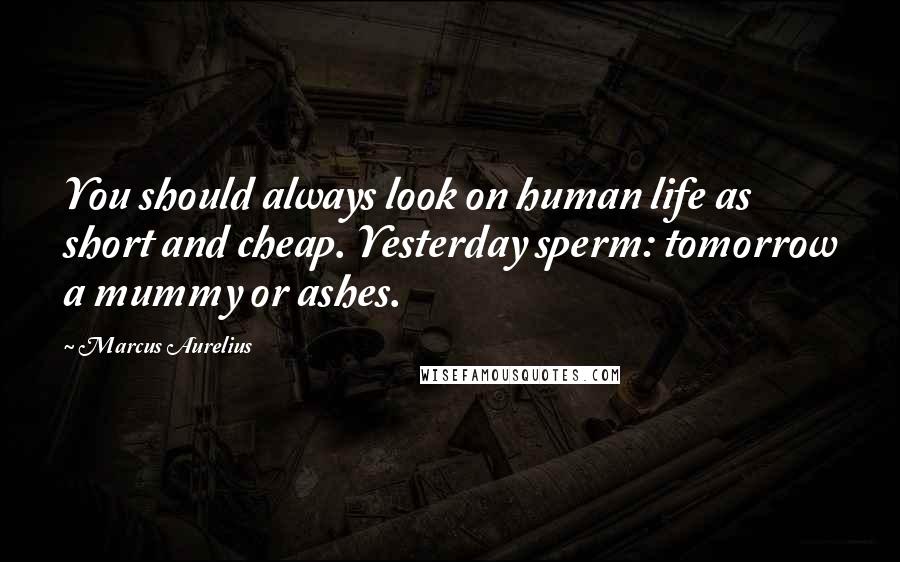 Marcus Aurelius Quotes: You should always look on human life as short and cheap. Yesterday sperm: tomorrow a mummy or ashes.