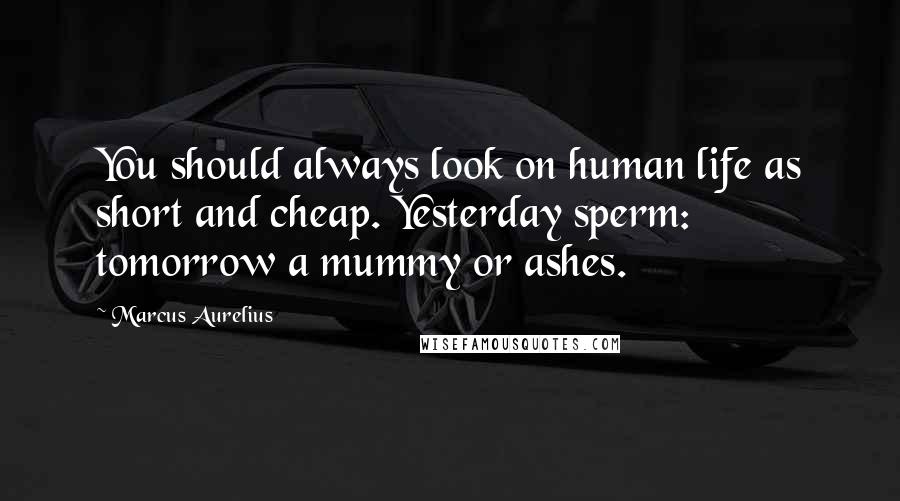 Marcus Aurelius Quotes: You should always look on human life as short and cheap. Yesterday sperm: tomorrow a mummy or ashes.