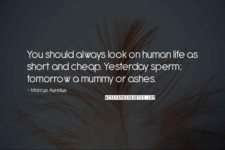 Marcus Aurelius Quotes: You should always look on human life as short and cheap. Yesterday sperm: tomorrow a mummy or ashes.