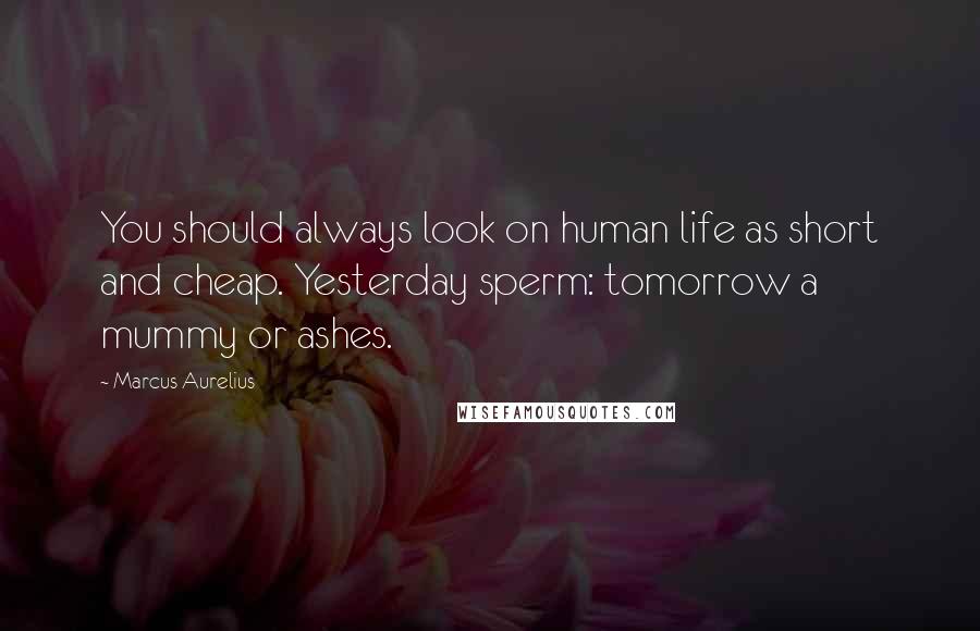 Marcus Aurelius Quotes: You should always look on human life as short and cheap. Yesterday sperm: tomorrow a mummy or ashes.