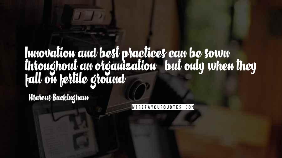 Marcus Buckingham Quotes: Innovation and best practices can be sown throughout an organization - but only when they fall on fertile ground.