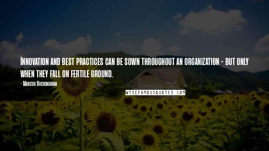 Marcus Buckingham Quotes: Innovation and best practices can be sown throughout an organization - but only when they fall on fertile ground.