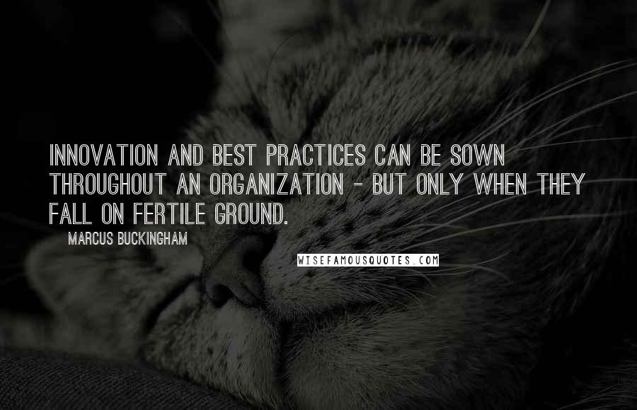 Marcus Buckingham Quotes: Innovation and best practices can be sown throughout an organization - but only when they fall on fertile ground.